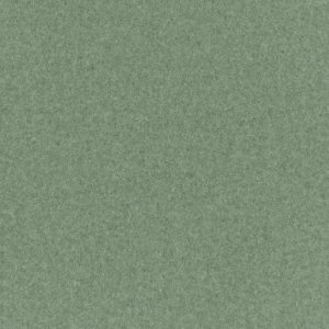 Almond Green Carpet 54m²