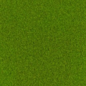 Spring Green Carpet 54m²
