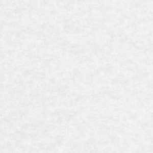 White Carpet 54m²
